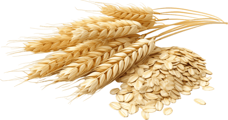 Beta-Glucanase ingredient