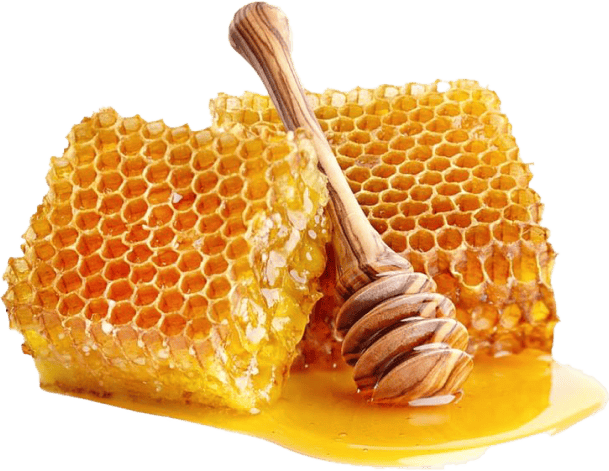Glucose Oxidase ingredient