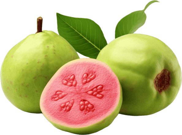 Guava Fruit Powder ingredient