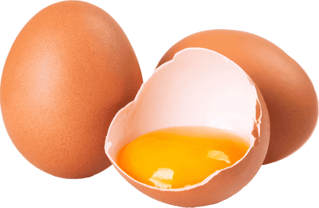 Lysozyme ingredient
